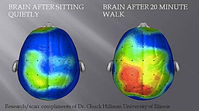 mozak prije i poslije treniranja